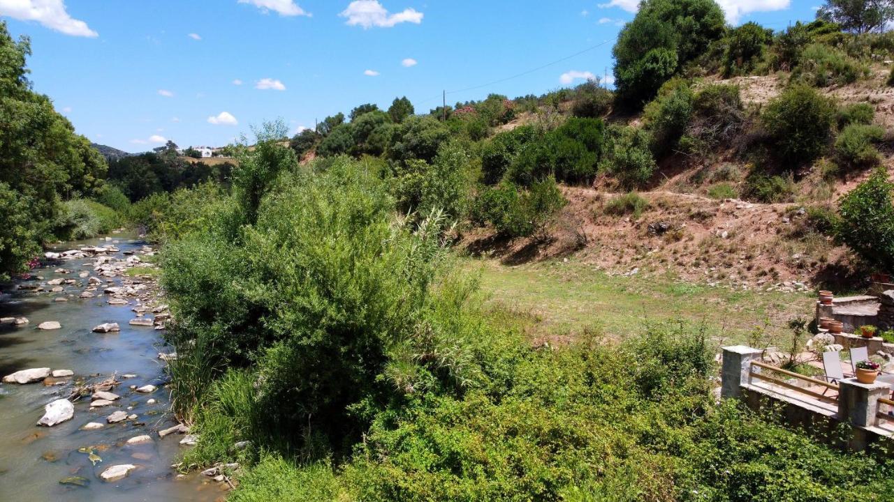 Molino Cuatro Paradas Benaojan Bagian luar foto